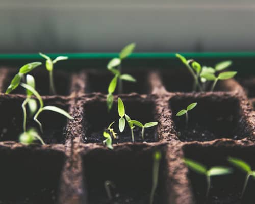Investment and Partnering